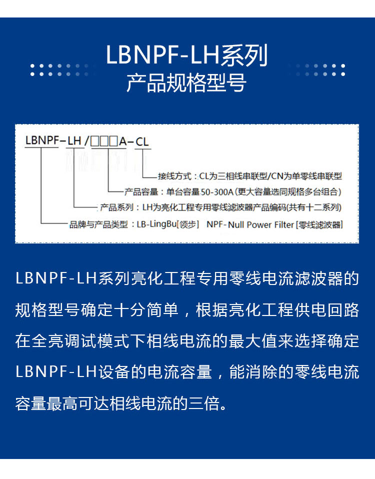 LBNPF-LH_09