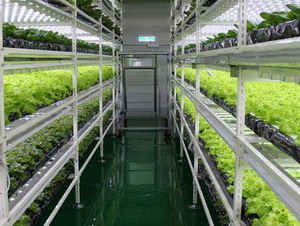 生物光培工厂专用零线谐波电流治理装置-LBNPF-SG系列